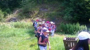 44-ednodneven-lager-educationtoday.eu 